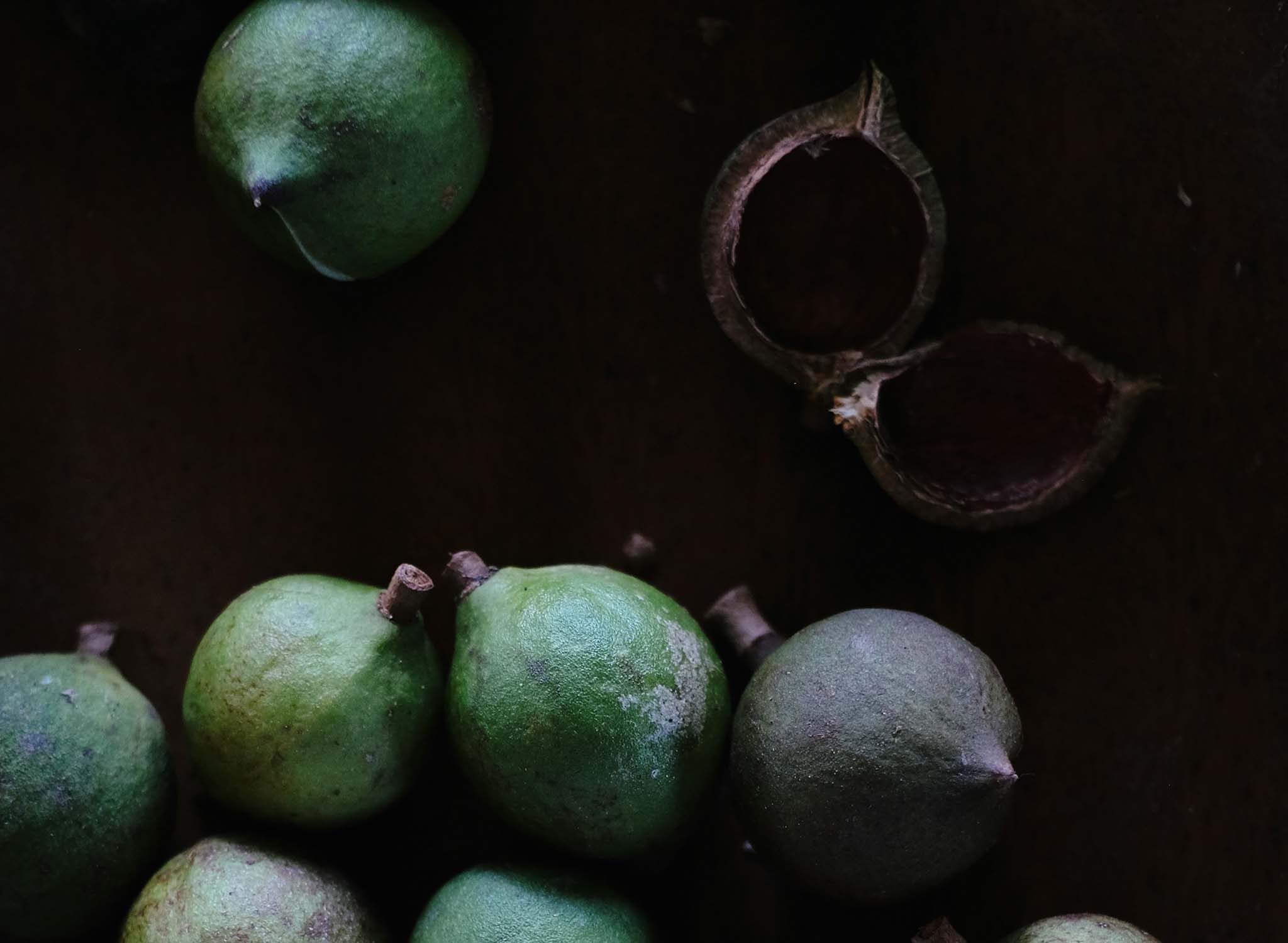 Macadamiaöl